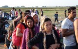 Bi kịch của những người Afghanistan từ bỏ quê hương lại bị 