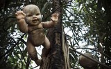 [ẢNH] Rùng rợn khi đặt chân lên Đảo Búp bê ma quái với những câu chuyện đầy ám ảnh