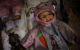[ẢNH] Rùng rợn khi đặt chân lên Đảo Búp bê ma quái với những câu chuyện đầy ám ảnh