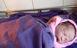 Cận cảnh vụ 