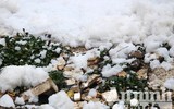 Kỳ lạ dòng sông Nhuệ biến thành 