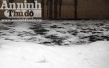 Kỳ lạ dòng sông Nhuệ biến thành 