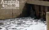 Kỳ lạ dòng sông Nhuệ biến thành 