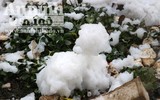 Kỳ lạ dòng sông Nhuệ biến thành 