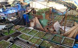 Cận cảnh cứu ngư dân trong bão Tembin tại quần đảo Trường Sa