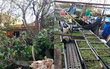 Cận cảnh cứu ngư dân trong bão Tembin tại quần đảo Trường Sa