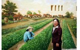 Khu tập thể cũ Hà Nội bất ngờ 'biến thành' làng trồng húng Láng nức tiếng một thời