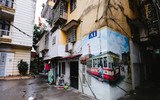 Khu tập thể cũ Hà Nội bất ngờ 'biến thành' làng trồng húng Láng nức tiếng một thời