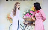 Khu tập thể cũ Hà Nội bất ngờ 'biến thành' làng trồng húng Láng nức tiếng một thời