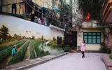 Khu tập thể cũ Hà Nội bất ngờ 'biến thành' làng trồng húng Láng nức tiếng một thời