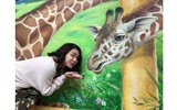 Khu tập thể cũ Hà Nội bất ngờ 'biến thành' làng trồng húng Láng nức tiếng một thời