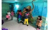 Khu tập thể cũ Hà Nội bất ngờ 'biến thành' làng trồng húng Láng nức tiếng một thời