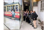 Khu tập thể cũ Hà Nội bất ngờ 'biến thành' làng trồng húng Láng nức tiếng một thời