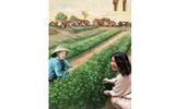 Khu tập thể cũ Hà Nội bất ngờ 'biến thành' làng trồng húng Láng nức tiếng một thời