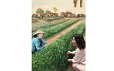 Khu tập thể cũ Hà Nội bất ngờ 'biến thành' làng trồng húng Láng nức tiếng một thời