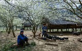 Đẹp lạ mùa xuân vùng cao