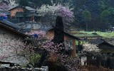 Đẹp lạ mùa xuân vùng cao