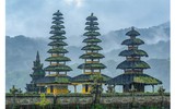 Ngẩn ngơ trước các bức ảnh 