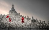 Ngẩn ngơ trước các bức ảnh 