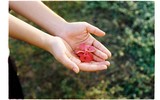 Lang thang Hà Nội với một chiếc máy ảnh phim