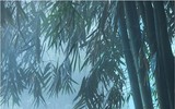 [ẢNH] Vẻ đẹp phiêu linh của những khuôn hình về Phật giáo