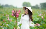 [ẢNH] Đầm sen Suối Yến, chùa Hương hút khách bất chấp những ngày nắng hạ