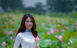 [ẢNH] Đầm sen Suối Yến, chùa Hương hút khách bất chấp những ngày nắng hạ