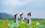 [ẢNH] Đầm sen Suối Yến, chùa Hương hút khách bất chấp những ngày nắng hạ