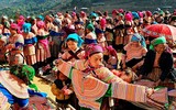 Phát hiện ngọn đồi hoa hướng dương tuyệt đẹp ngay chân núi Fansipan