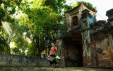 [ẢNH] Tìm lại vẻ đẹp xưa cũ bên những bức hình thiếu nữ và sen
