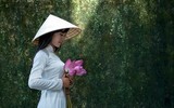 [ẢNH] Tìm lại vẻ đẹp xưa cũ bên những bức hình thiếu nữ và sen