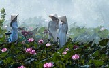 [ẢNH] Tìm lại vẻ đẹp xưa cũ bên những bức hình thiếu nữ và sen