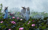[ẢNH] Tìm lại vẻ đẹp xưa cũ bên những bức hình thiếu nữ và sen