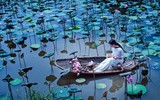 [ẢNH] Tìm lại vẻ đẹp xưa cũ bên những bức hình thiếu nữ và sen