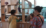 Ngưng đọng những thời khắc đẹp nhất của thiên nhiên trong triển lãm điêu khắc 