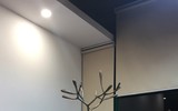 Ngưng đọng những thời khắc đẹp nhất của thiên nhiên trong triển lãm điêu khắc 