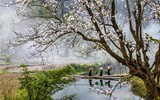 [ẢNH] Cần gì phải đi đâu, Việt Nam đẹp đến thế này kia mà!