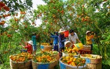[ẢNH] Cần gì phải đi đâu, Việt Nam đẹp đến thế này kia mà!