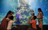 Những hình ảnh không thể ngọt ngào hơn về gia đình nhỏ của Quốc Cơ, Quốc Nghiệp
