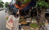 Bộ ảnh 3 thế hệ của gia đình Diva Thanh Lam