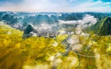 [ẢNH] Các bức 