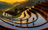 [ẢNh] 107 bức ảnh di sản Việt Nam xuất sắc nhất chia sẻ những khoảnh khắc 