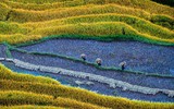 [ẢNh] 107 bức ảnh di sản Việt Nam xuất sắc nhất chia sẻ những khoảnh khắc 