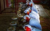 Ngắm bộ ảnh đoạt giải Đặc biệt của 