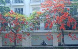 Những hình ảnh 