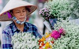 Những hình ảnh 