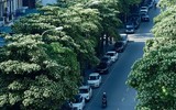 Những hình ảnh 
