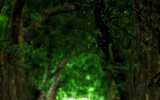 Những hình ảnh 