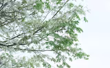 Những hình ảnh 