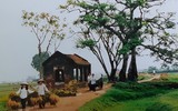 [ẢNH] Làng quê Việt Nam qua các bức ảnh đi cùng năm tháng